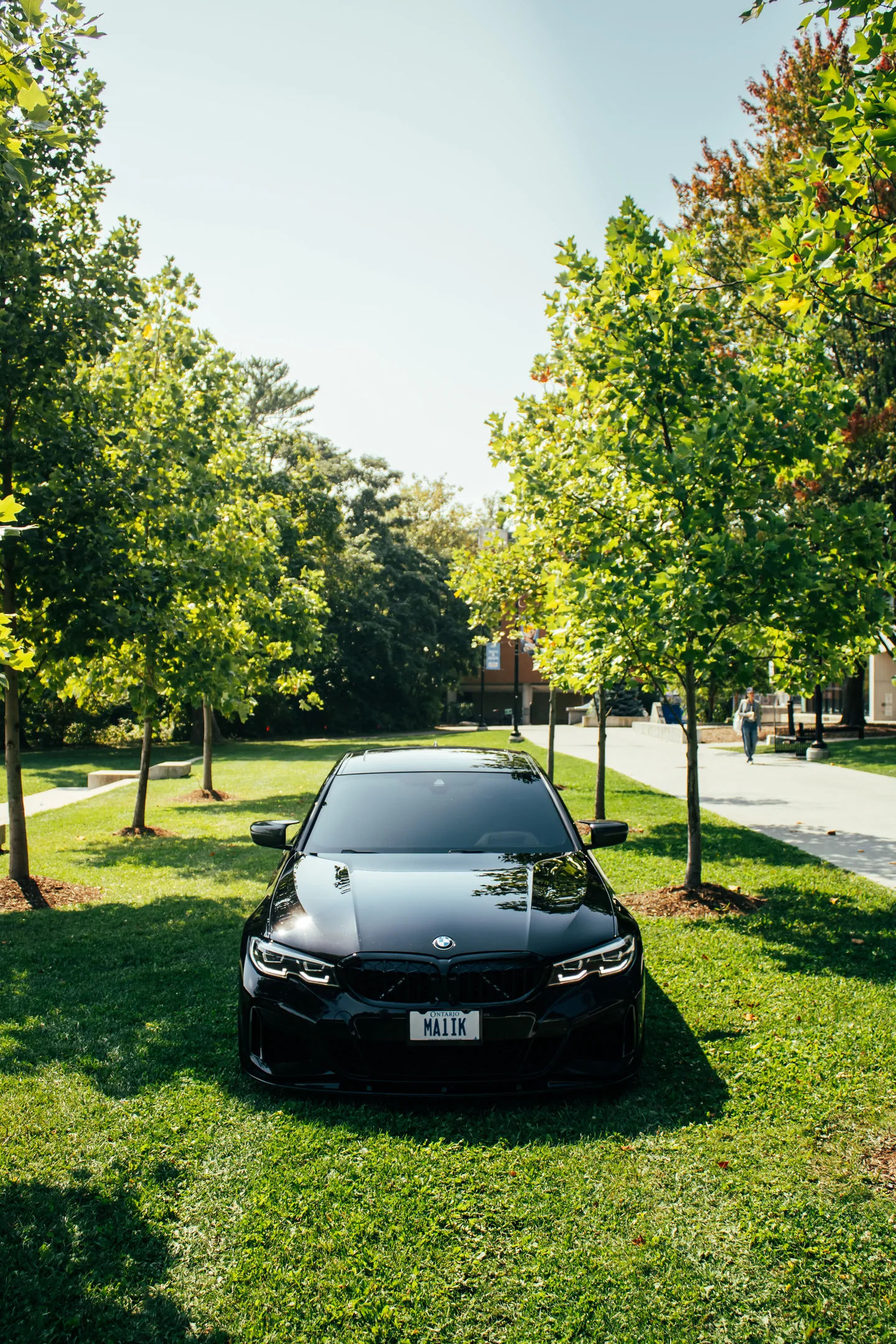 A BMW M340i parked on grass between young trees in flat afternoon light.