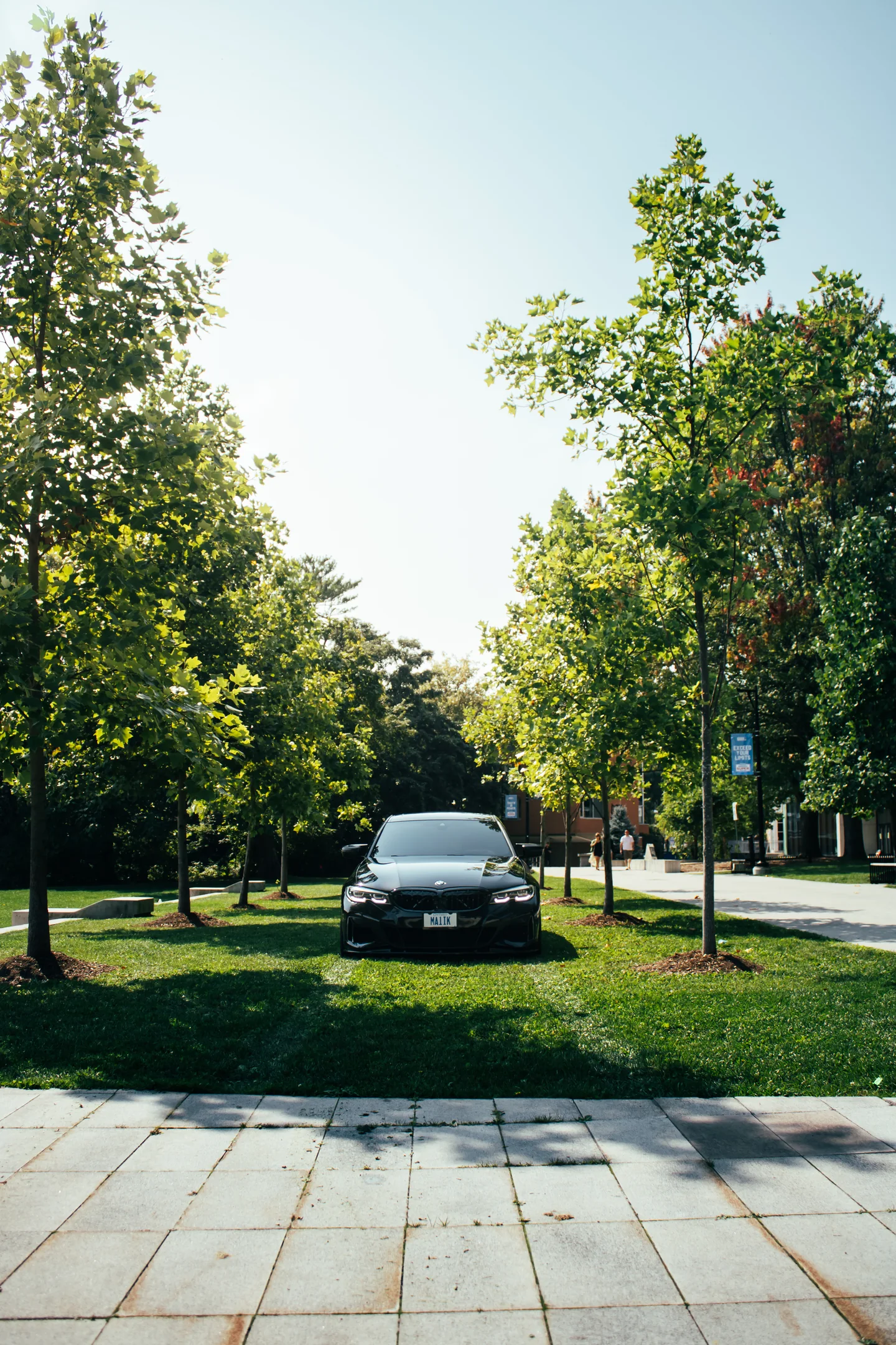 A BMW M340i far down a corridor of trees, deliberately small in the frame.